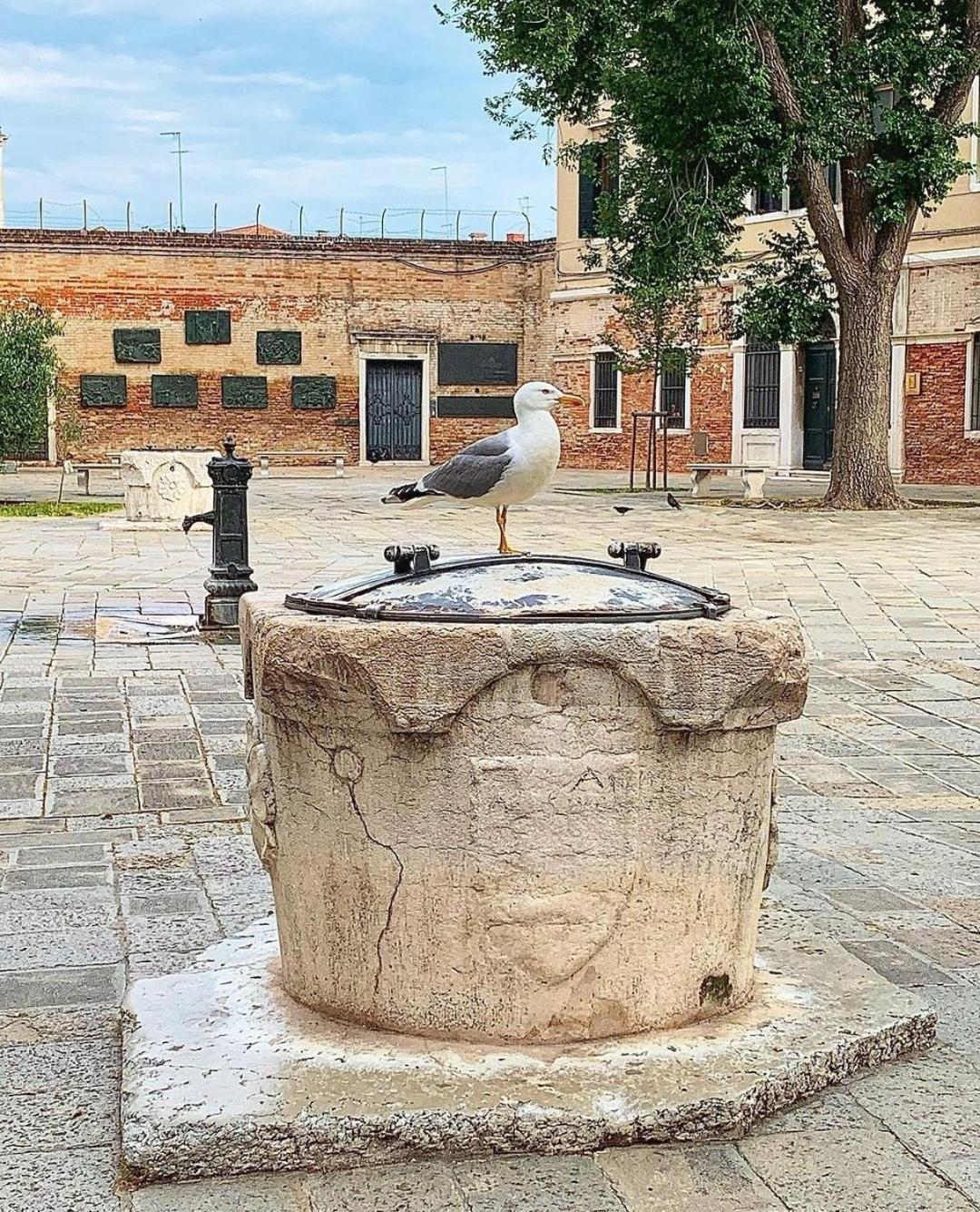 Ca'rosa Veneza